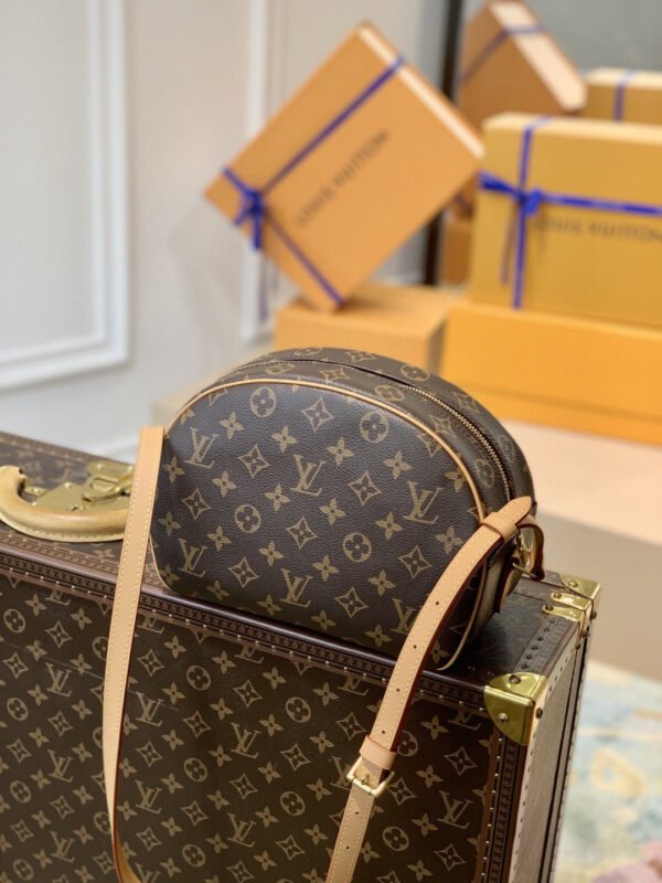 LV Blois Monogram Canvas For Women, WoBags, WoShoulder Bags 9.8in/25cm LV M51221 - Image 7